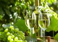 Why Pinot Grigio and Moscato Should On Your Summer Wine List