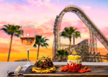 Inaugural Tampa Bay Wine & Food Festival 2023